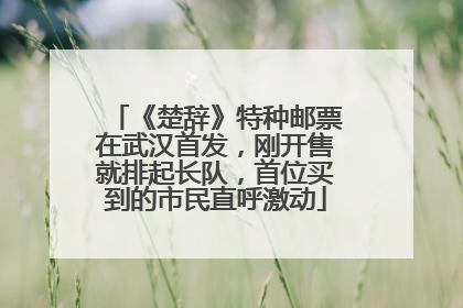 《楚辞》特种邮票在武汉首发，刚开售就排起长队，首位买到的市民直呼激动