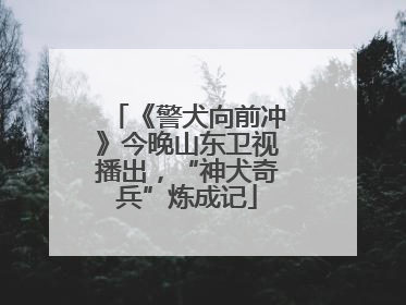 《警犬向前冲》今晚山东卫视播出，“神犬奇兵”炼成记