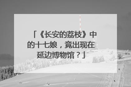 《长安的荔枝》中的十七娘，竟出现在延边博物馆？