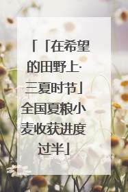 「在希望的田野上·三夏时节」全国夏粮小麦收获进度过半