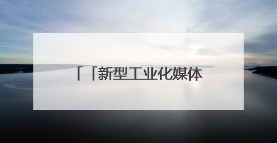 「新型工业化媒体调研行」从“北斗七星”到“热带雨林”：上海AI生态的技术商业共生密码