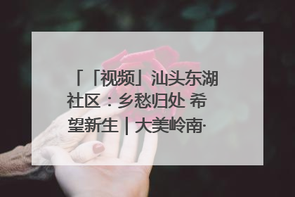 「视频」汕头东湖社区：乡愁归处 希望新生｜大美岭南·百村焕新记