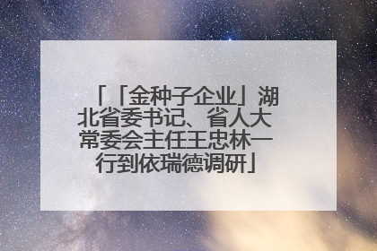 「金种子企业」湖北省委书记、省人大常委会主任王忠林一行到依瑞德调研