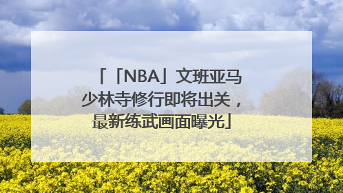 「NBA」文班亚马少林寺修行即将出关，最新练武画面曝光