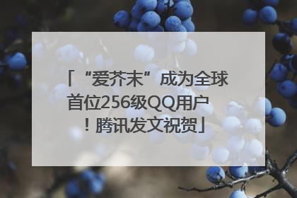“爱芥末”成为全球首位256级QQ用户！腾讯发文祝贺