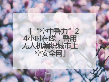 “空中警力”24小时在线，警用无人机编织城市上空安全网