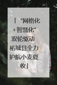 “网格化+智慧化”双轮驱动 柘城县全力护航小麦夏收
