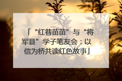 “红巷苗苗”与“将军县”学子笔友会：以信为桥共读红色故事