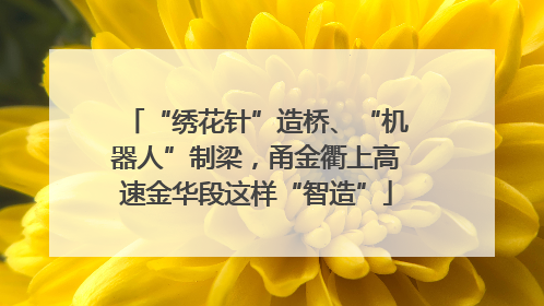 “绣花针”造桥、“机器人”制梁，甬金衢上高速金华段这样“智造”