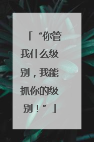 “你管我什么级别，我能抓你的级别！”