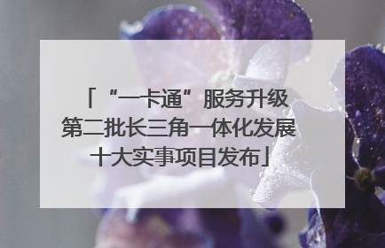 “一卡通”服务升级 第二批长三角一体化发展十大实事项目发布