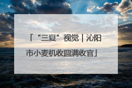 “三夏”视觉｜沁阳市小麦机收圆满收官
