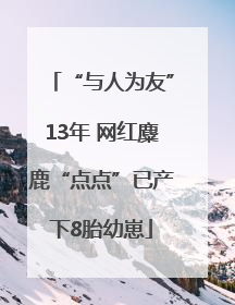 “与人为友”13年 网红麋鹿“点点”已产下8胎幼崽