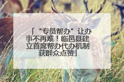 “专员帮办”让办事不再难！临邑县建立首席帮办代办机制获群众点赞