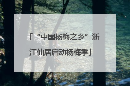 “中国杨梅之乡”浙江仙居启动杨梅季