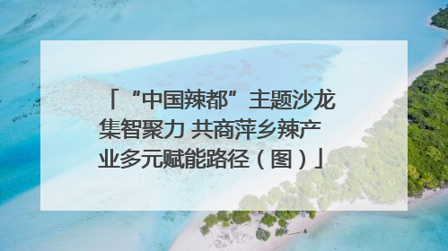 “中国辣都”主题沙龙集智聚力 共商萍乡辣产业多元赋能路径（图）