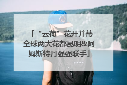 “云荷”花开并蒂 全球两大花都昆明&阿姆斯特丹强强联手