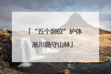 “五个到位”护体 淅川稳守山林