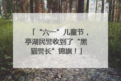 “六一”儿童节，亭湖民警收到了“黑猫警长”锦旗！