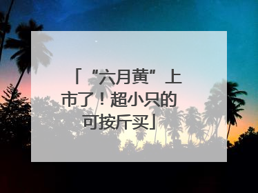 “六月黄”上市了！超小只的可按斤买