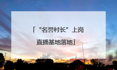 “名誉村长”上岗 直播基地落地