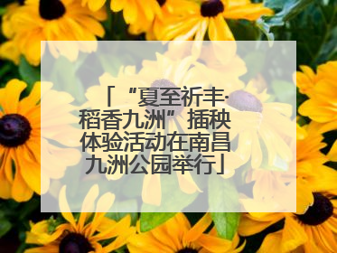 “夏至祈丰·稻香九洲”插秧体验活动在南昌九洲公园举行