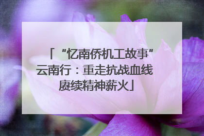 “忆南侨机工故事”云南行：重走抗战血线 赓续精神薪火