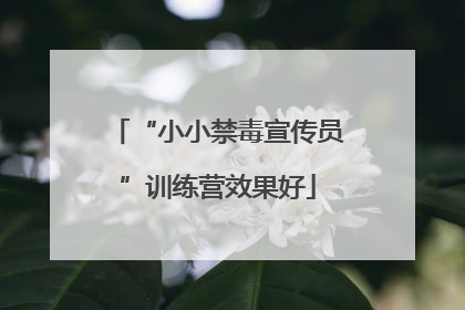 “小小禁毒宣传员”训练营效果好