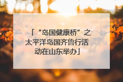 “岛国健康桥”之太平洋岛国齐鲁行活动在山东举办