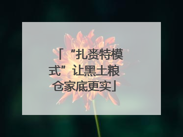 “扎赉特模式”让黑土粮仓家底更实