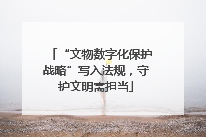 “文物数字化保护战略”写入法规，守护文明需担当