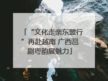 “文化走亲东盟行”再赴越南 广西邕剧粤韵展魅力