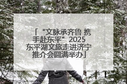 “文脉承齐鲁 携手赴东平”2025东平湖文旅走进济宁推介会圆满举办
