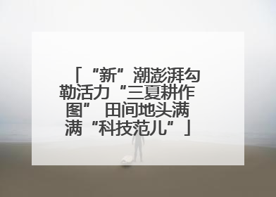 “新”潮澎湃勾勒活力“三夏耕作图” 田间地头满满“科技范儿”