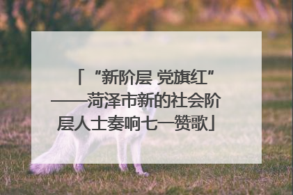 “新阶层 党旗红”——菏泽市新的社会阶层人士奏响七一赞歌
