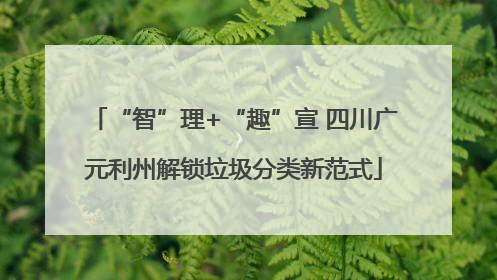 “智”理+“趣”宣 四川广元利州解锁垃圾分类新范式