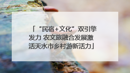 “民宿+文化”双引擎发力 农文旅融合发展激活天水市乡村游新活力
