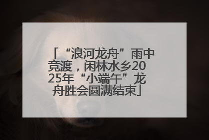 “浪河龙舟”雨中竞渡，闲林水乡2025年“小端午”龙舟胜会圆满结束