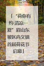 “荷你有约·清凉一夏”眉山东坡区尚义镇首届荷花节启幕