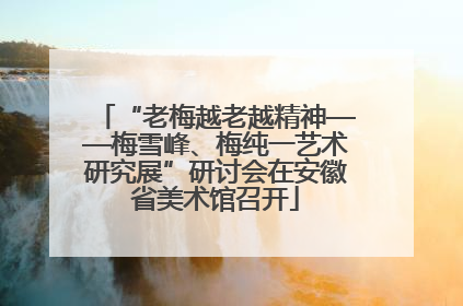 “老梅越老越精神——梅雪峰、梅纯一艺术研究展”研讨会在安徽省美术馆召开