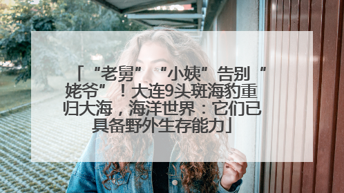 “老舅”“小姨”告别“姥爷”！大连9头斑海豹重归大海，海洋世界：它们已具备野外生存能力