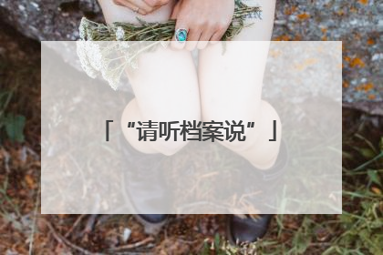 “请听档案说”