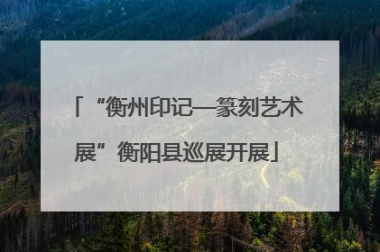 “衡州印记—篆刻艺术展”衡阳县巡展开展