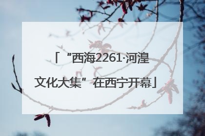 “西海2261·河湟文化大集”在西宁开幕