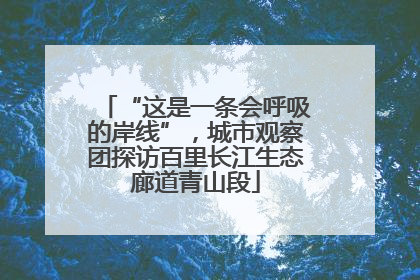 “这是一条会呼吸的岸线”，城市观察团探访百里长江生态廊道青山段
