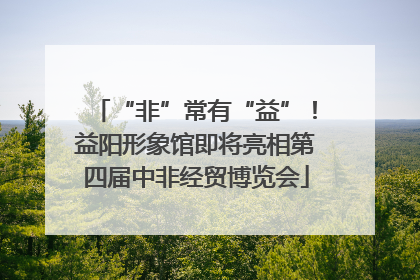 “非”常有“益”！益阳形象馆即将亮相第四届中非经贸博览会