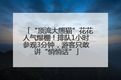“顶流大熊猫”花花人气爆棚！排队1小时参观3分钟，游客只敢讲“悄悄话”