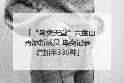 “鸟类天堂”六盘山再添新成员 鸟类记录增加至336种