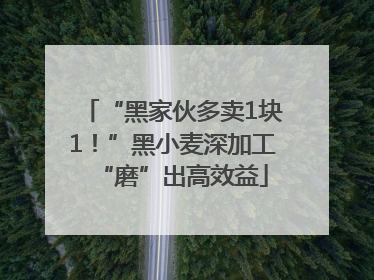 “黑家伙多卖1块1！”黑小麦深加工“磨”出高效益