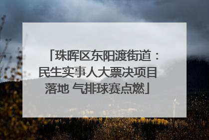 珠晖区东阳渡街道：民生实事人大票决项目落地 气排球赛点燃